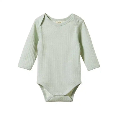 Pointelle Long Sleeve Bodysuit - Dew