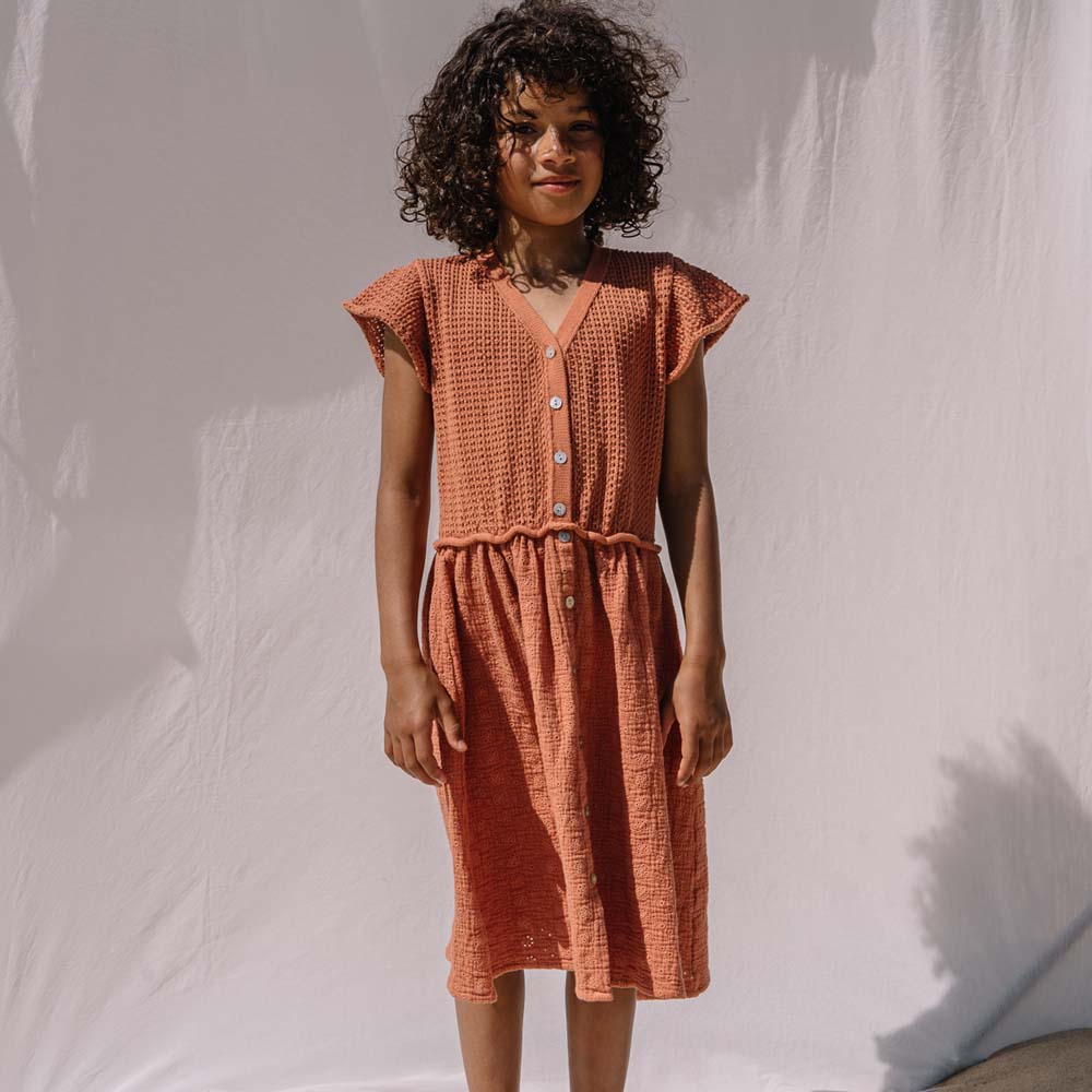 Flutter Sleeve Button Front Embroidery Combination Dress - Talc