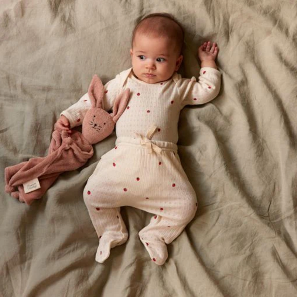Long Sleeve Pointelle Bodysuit & Pointelle Footed Romper - Strawberry Field Print