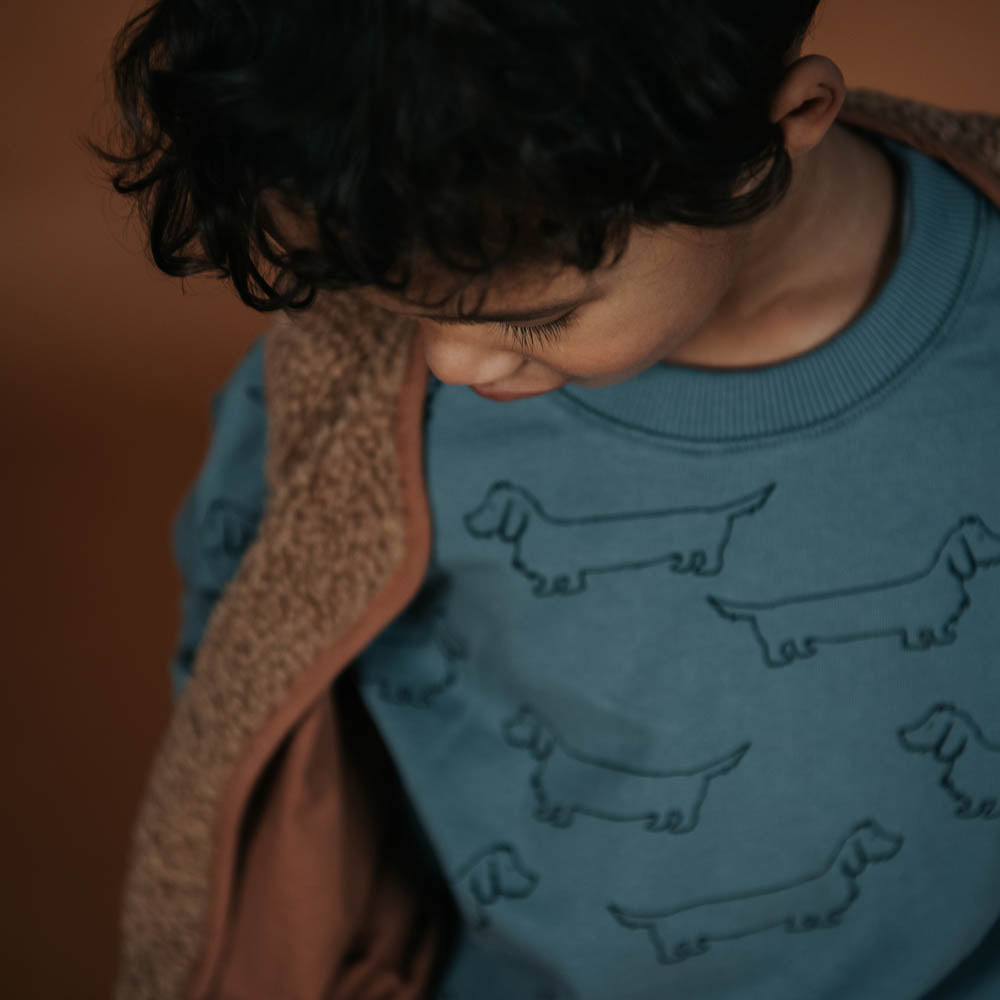 Sweatshirt Sausage Dog Print - Lake Blue