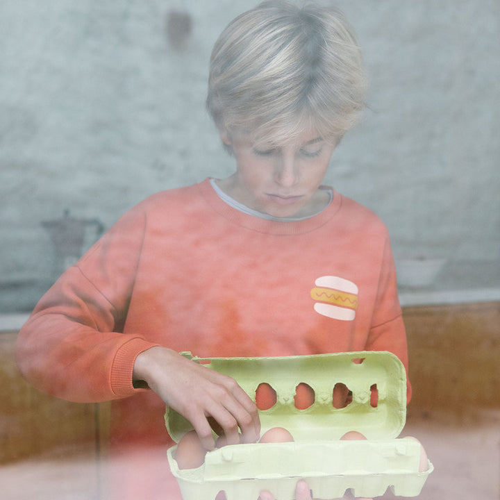 Unisex Sweatshirt - Brick w/ Hot Dog Print
