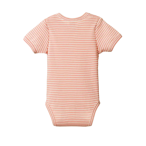 Short Sleeve Bodysuit - Peony Stripe